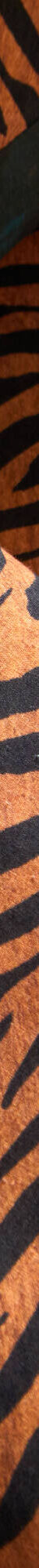 Linge de lit imprimé Matt en coton (zwart) Linge de lit imprimé Matt en coton (zwart)